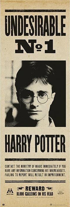 Poster Porta 53x158 Harry Potter Undes.